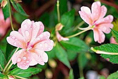 《龙腾世纪：影障守护者》职业和角色将有定制的盔甲和装备